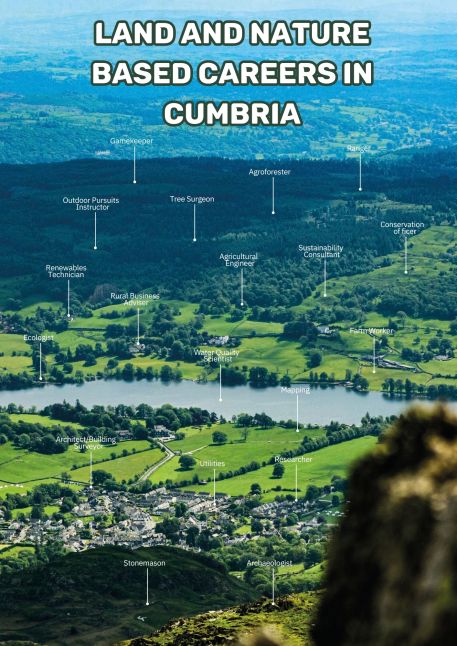 LANSS Banner Careers