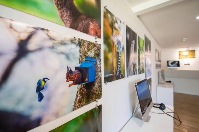 Wildlife media university degree uk BA Hons 850x566 1