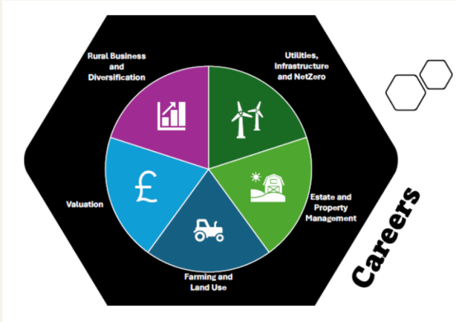 Screenshot 2025 10 09 152648