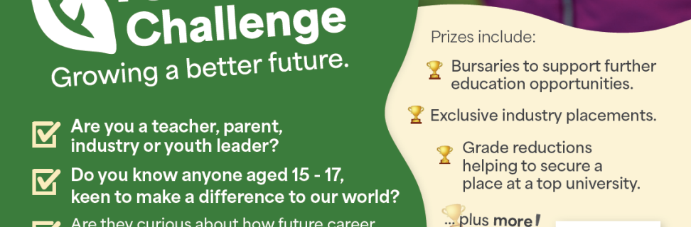 Socials Card for Influencers