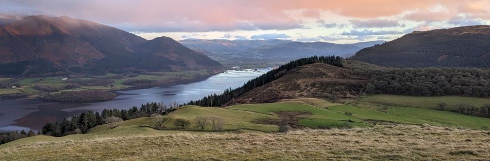 Collablandmanagement