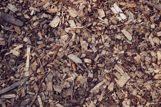 Wood 3611860 1280