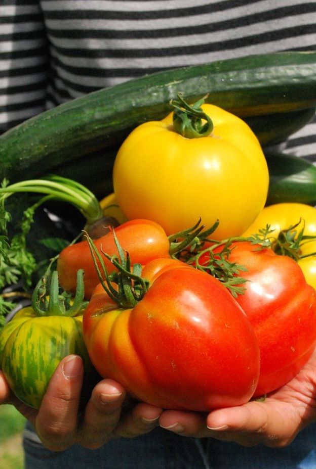Vegetables 742095 1280