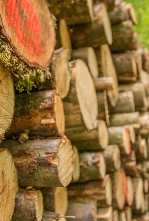 Pile of wood 766737 1280