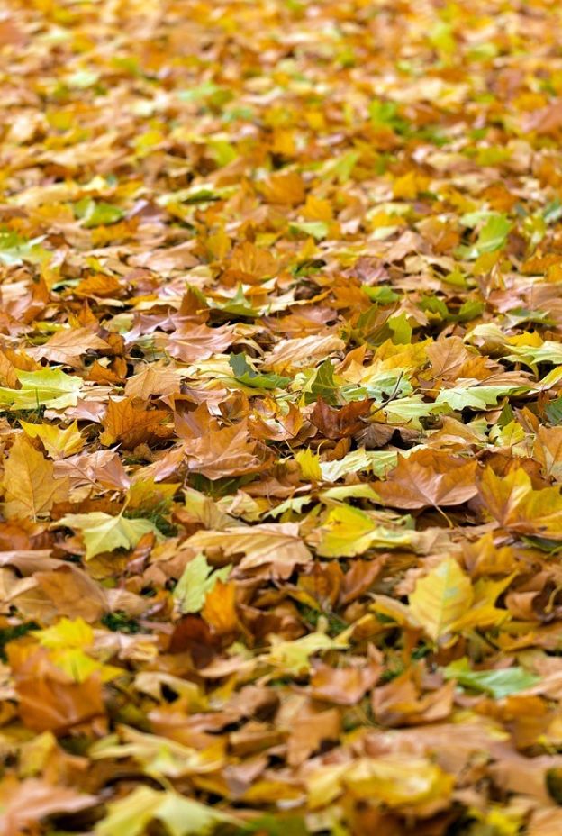 Autumn 940401 1280