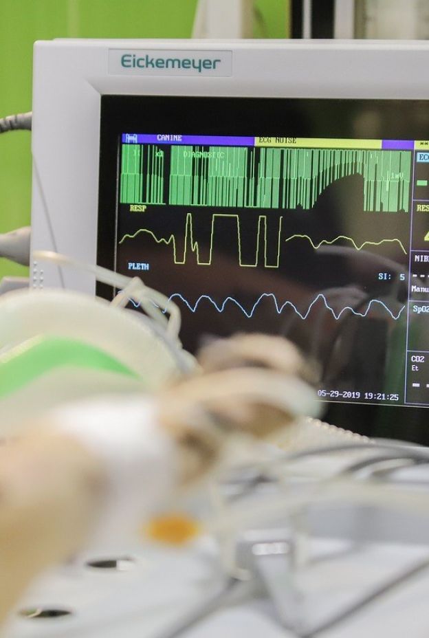 Monitoring 4939621 1280