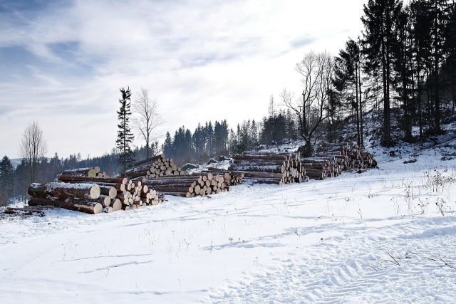 Wood 4679170 1280