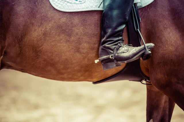 Equestrian 772301 1920 pixabay