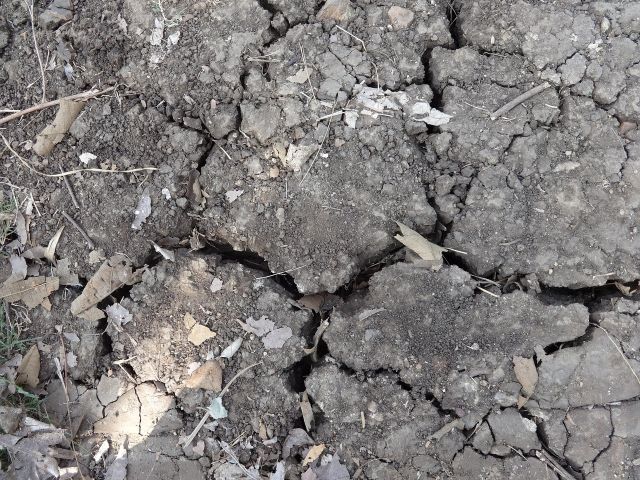 Black soil 253147 1280