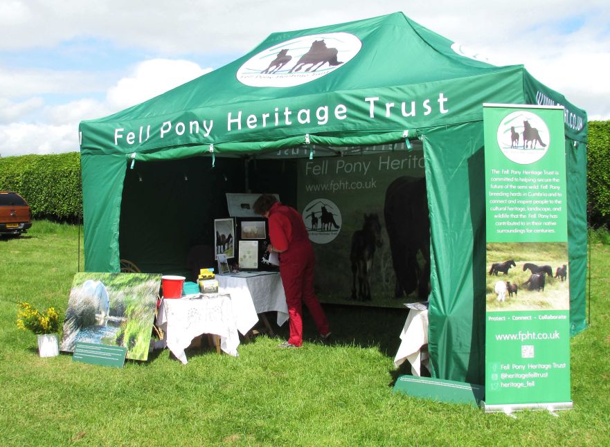 Fell pony trust 3