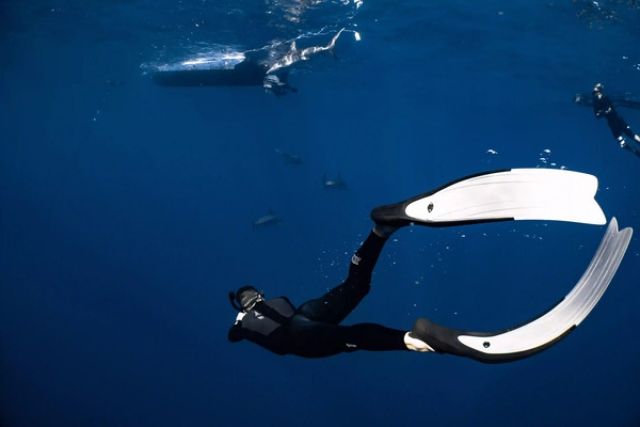 Marine and Freshwater Conservation