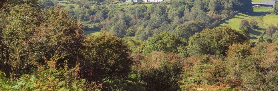 Barkbooth Nature Reserve