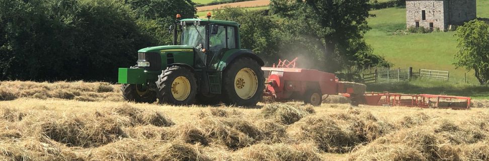 Hay time Elizabeth Barker Bolton Cumbria