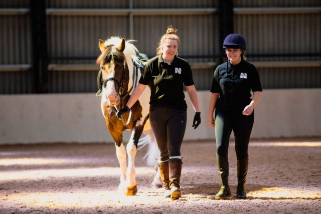 Kirkley Hall Equine 2 1024x683