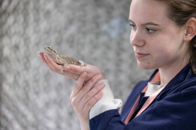 NC Kirkley Animal Management FE 296 web 1024x682