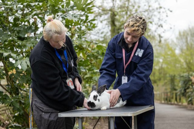 NC Kirkley Animal Management FE 259 web 1024x682