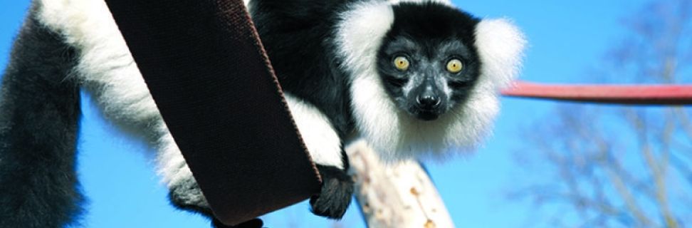 NC Animal Care FE 014 768x512