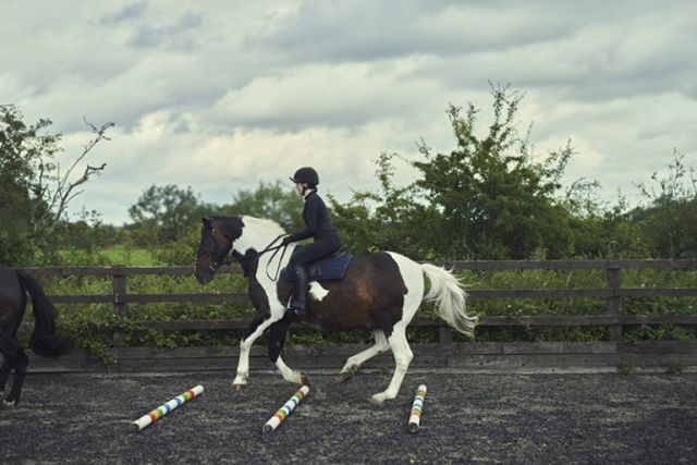 NC FE Equine 002 768x512