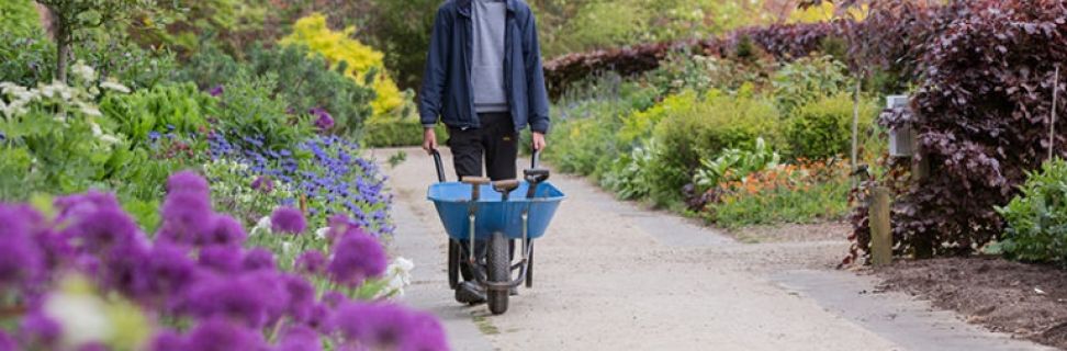 NC Horticulture FE 050 768x512