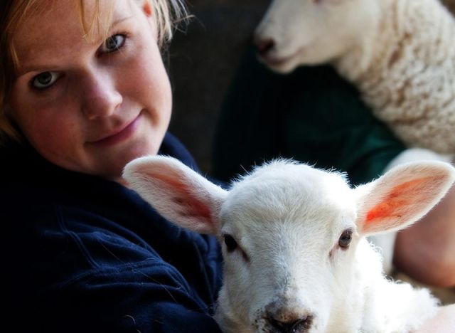 NC Agriculture HE 006 800x584