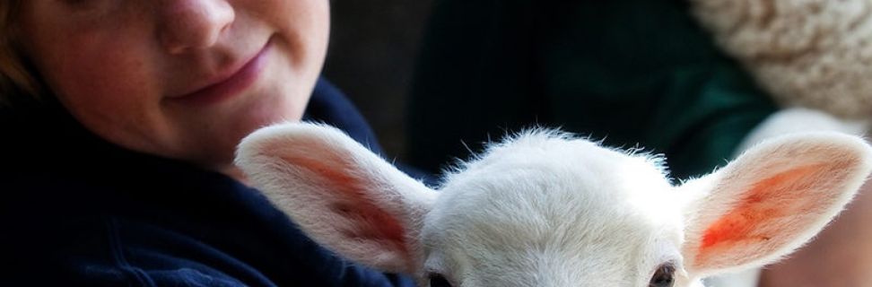 NC Agriculture HE 006 800x584