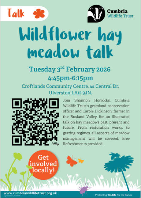 Ulverrston Hay Meadows