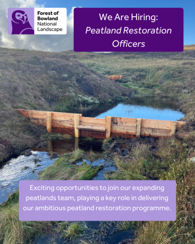 Peatland job opportunities