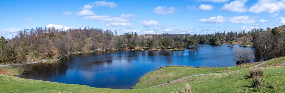 Guided walk 2024 Coniston woods tarns and gills 24 March 2024 Nicky Beeson 23 3