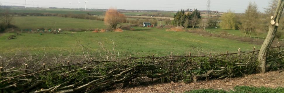 PHOTO 20210331 162740