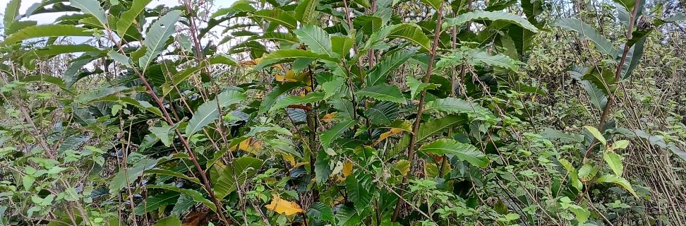 IMG 20251020 122500 183