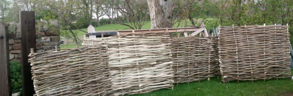 PHOTO 20210512 164430