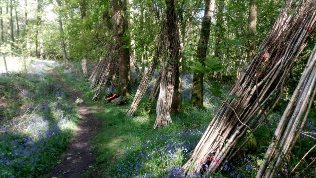 PHOTO 20220511 164856