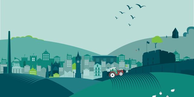 Dodd Co landscape graphic