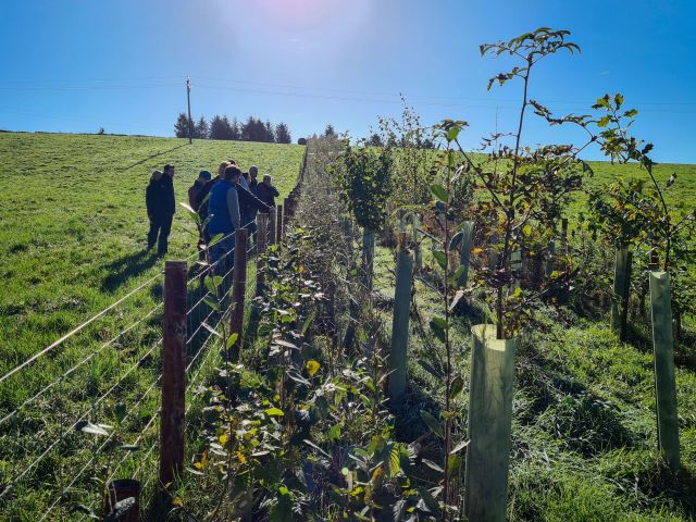 Agroforestry event 13 10 22 Renisons farm walk 5m hedge shelter belt