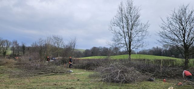 FLD Hedge Laying Competition Low Sizergh Farm 8 Feb 2025 2