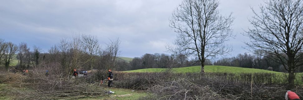 FLD Hedge Laying Competition Low Sizergh Farm 8 Feb 2025 2