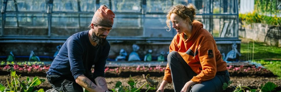 GROWING WELL EGREMONT 2024 428