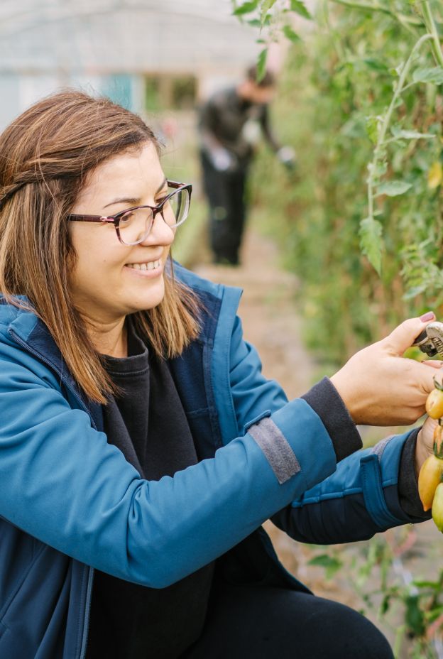 GROWING WELL SIZERGH 2024 083