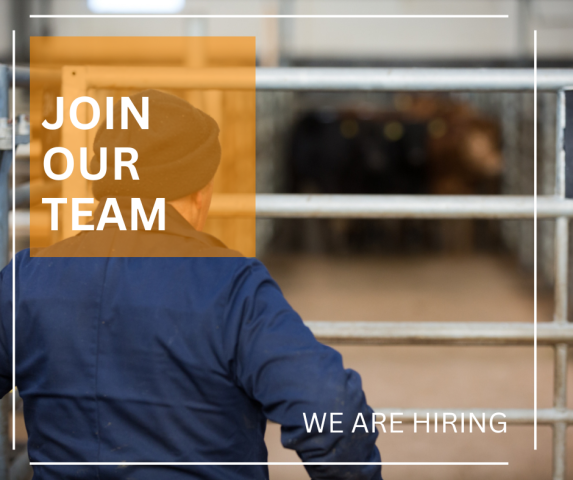 JOIN OUR TEAM