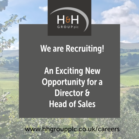 Director Head of Sales HHLE