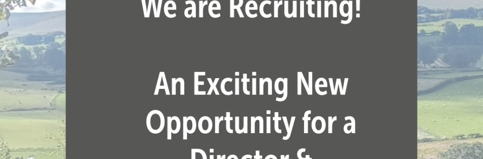 Director Head of Sales HHLE