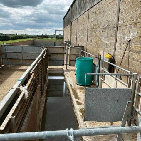 Safe use of sheep dip Lowe Maintenance