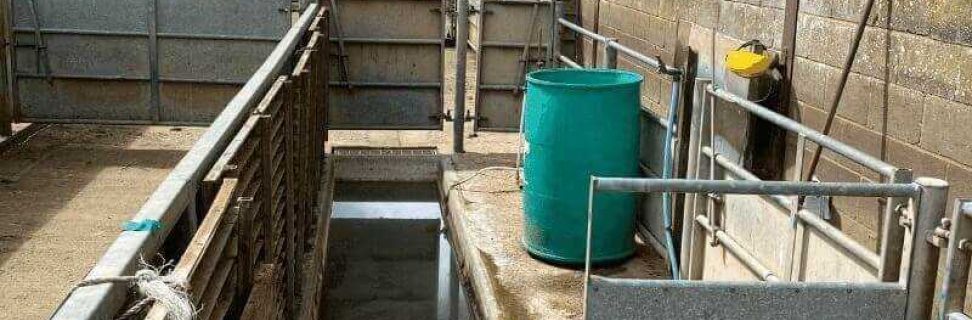 Safe use of sheep dip Lowe Maintenance