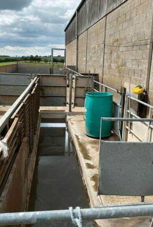 Safe use of sheep dip Lowe Maintenance