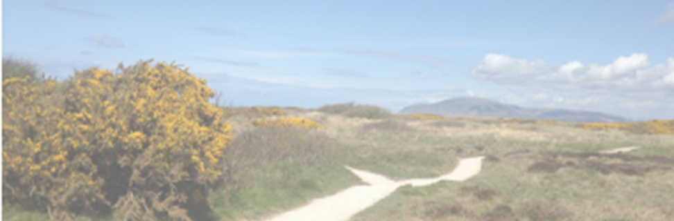 N walney image