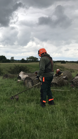 Strimmer with Tree Log