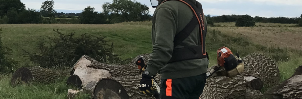 Strimmer with Tree Log
