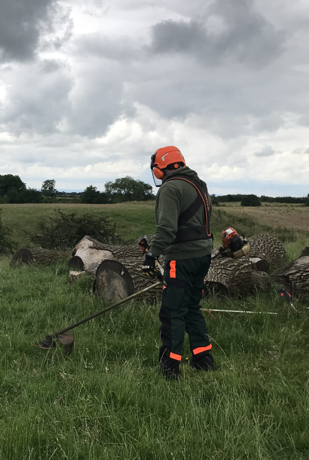 Strimmer with Tree Log