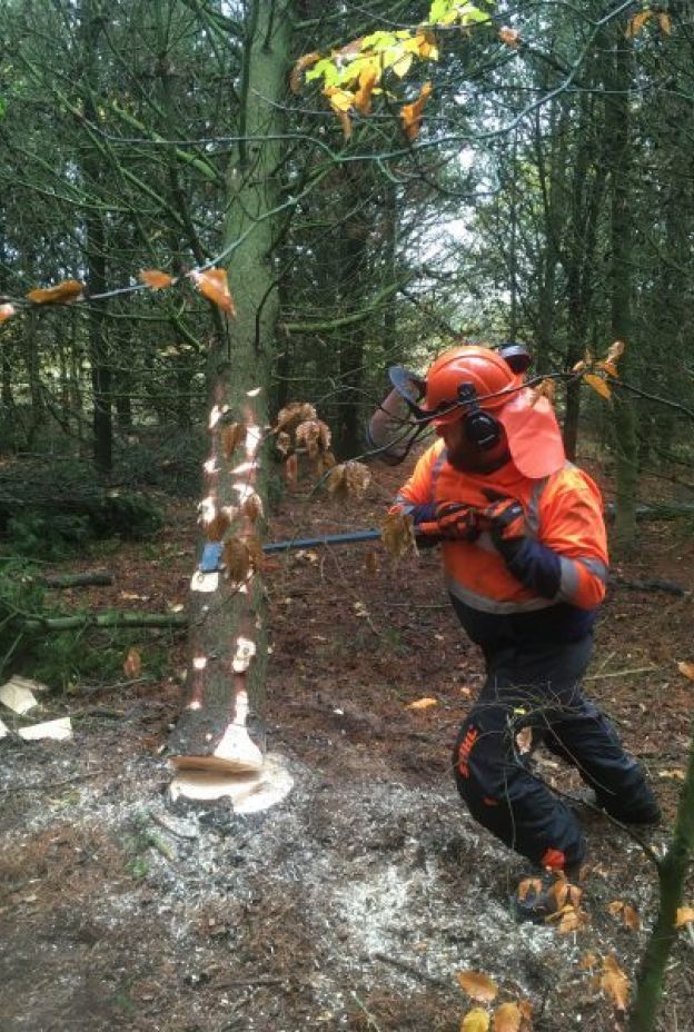 Chainsaw takedown