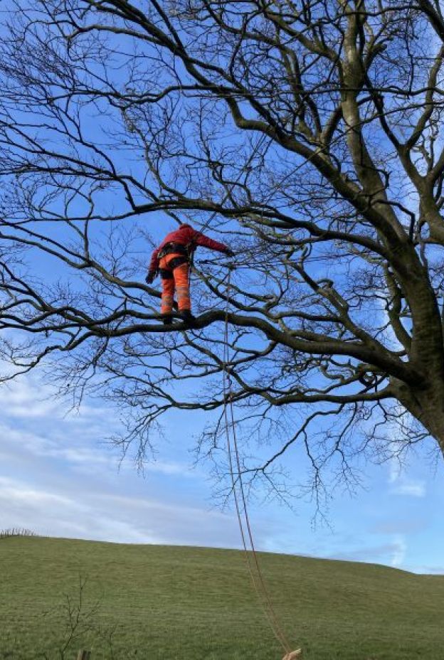 Climbing1